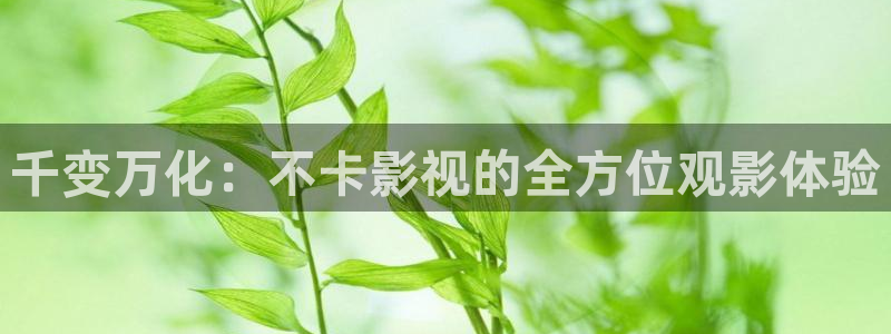 美丽小蜜桃欧美电影