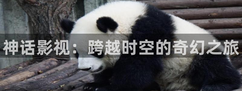 神马影院小蜜桃